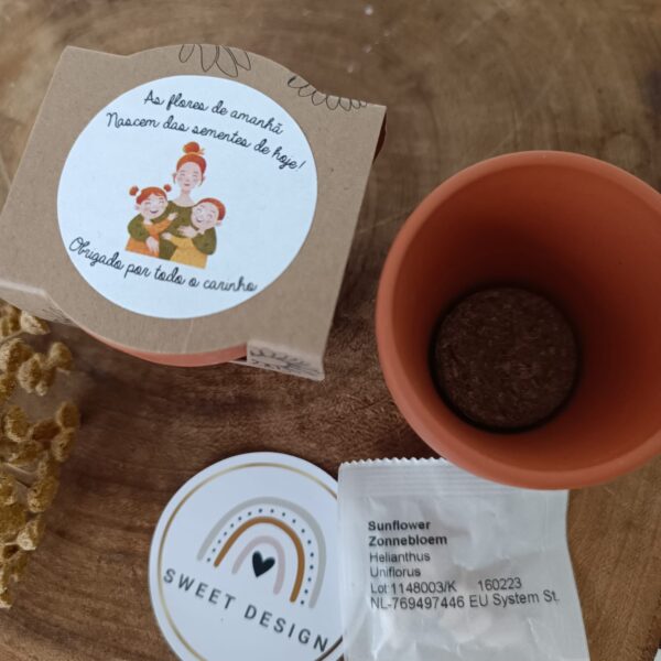 Vaso Barro - As flores do amanhã nascem das sementes de hoje