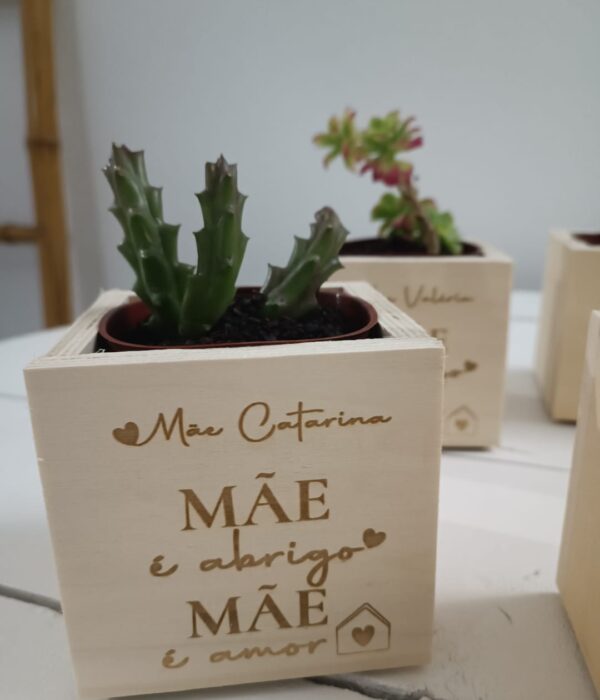 Vaso em madeira com gravação a laser e suculenta - Mãe é abrigo, Mãe é amor